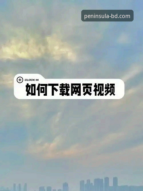 半岛官方网站有什么用怎么下载？深度对比：直接使用网页版与下载客户端的优劣分析
